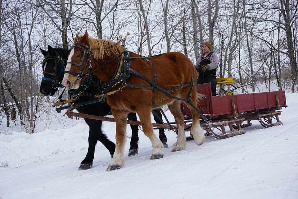 sleigh-ride.jpg
